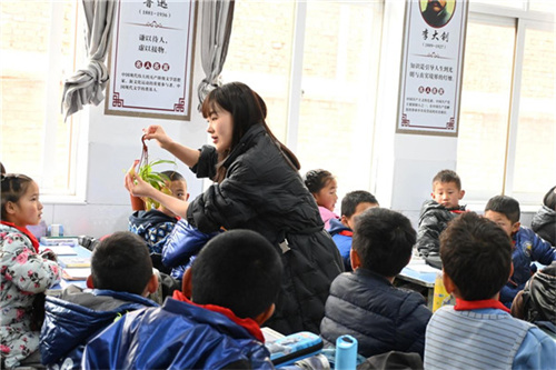 图片2.jpg