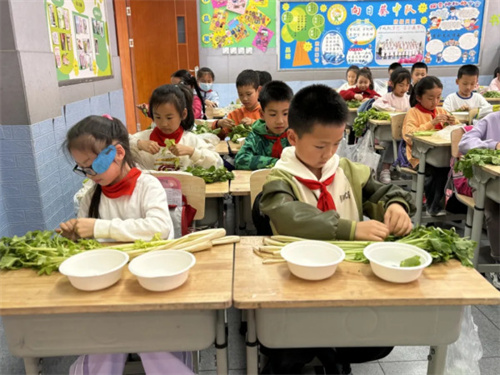 图(2).jpg