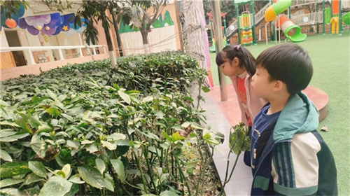 图片九.jpg