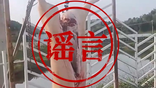 成都警方打击整治网络谣言4起典型案例