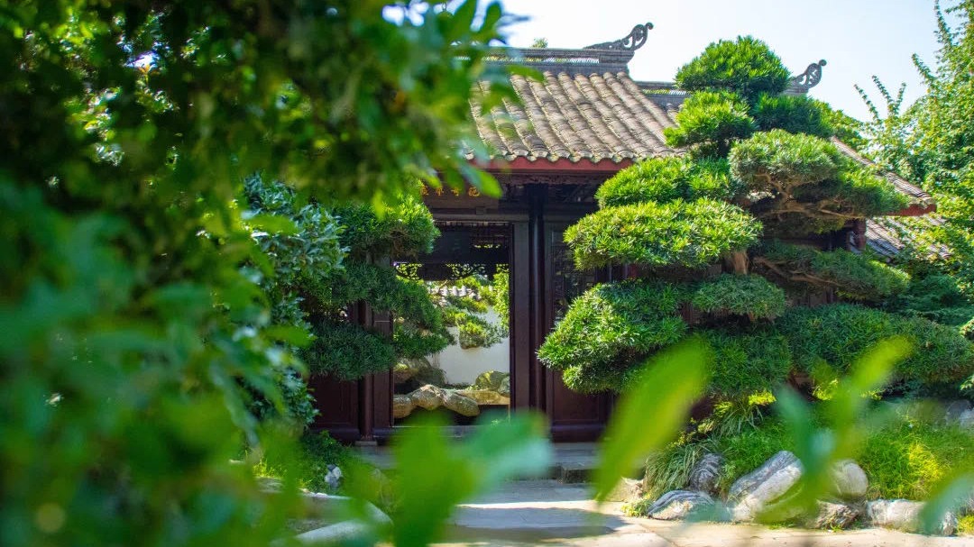 成都世园会温江分会场：赏川派盆景千年诗韵，遇见花样美好