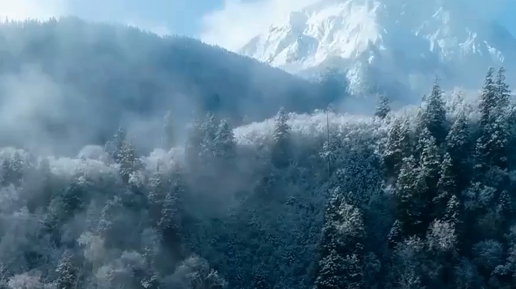 《岷山秘境-王朗》（中英文版）
