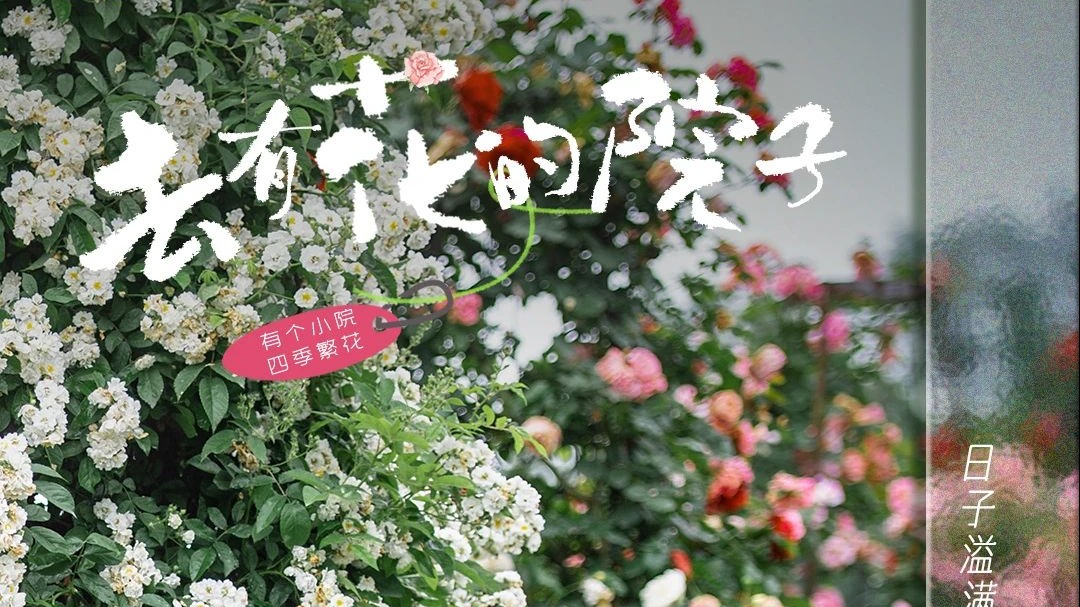 一不小心，撞进这个芳香浪漫的玫瑰庄园~