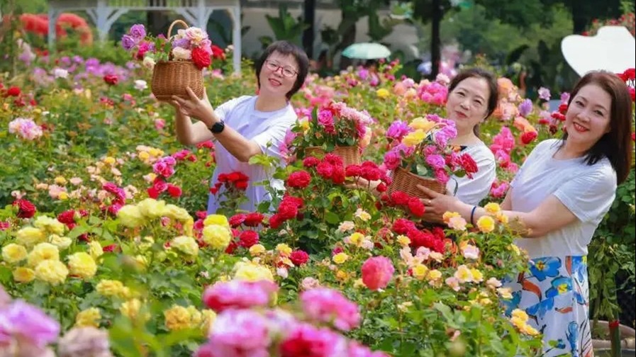 免费！半价！本周日成都一大波景区有优惠