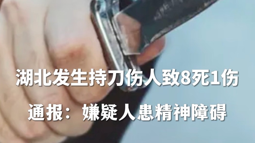 致8死1伤！湖北发生一起精神障碍患者持刀伤人案