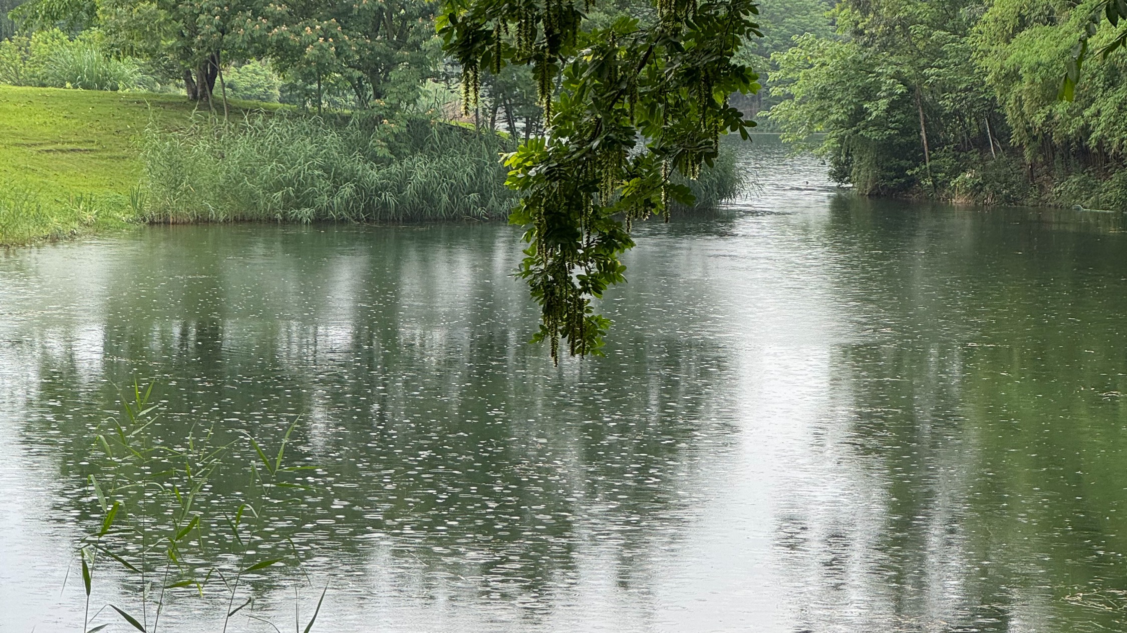 暴雨蓝色预警发布！四川盆地局地有大暴雨