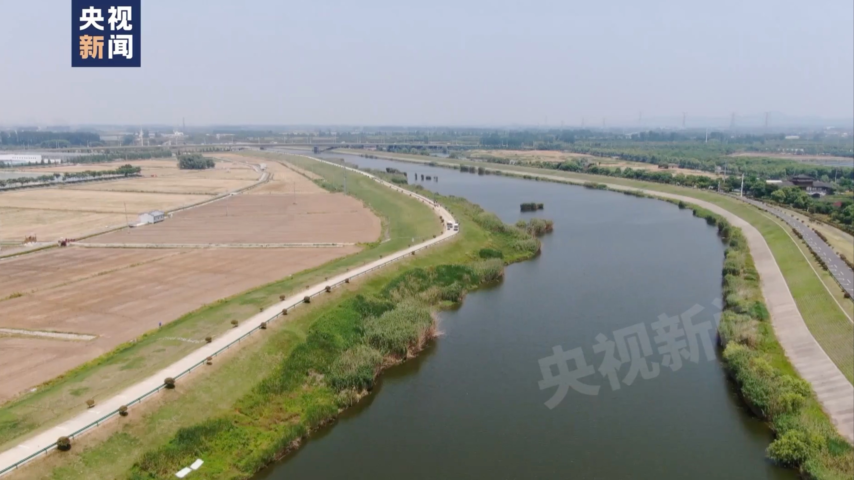 长江支流恶臭熏天、鱼虾死亡！官员用茅台打比方称水质检测“没有必要”