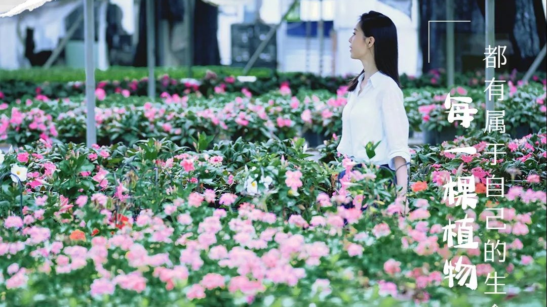 热热热！躲进温江这个森系院子，把植物生活复刻回家~