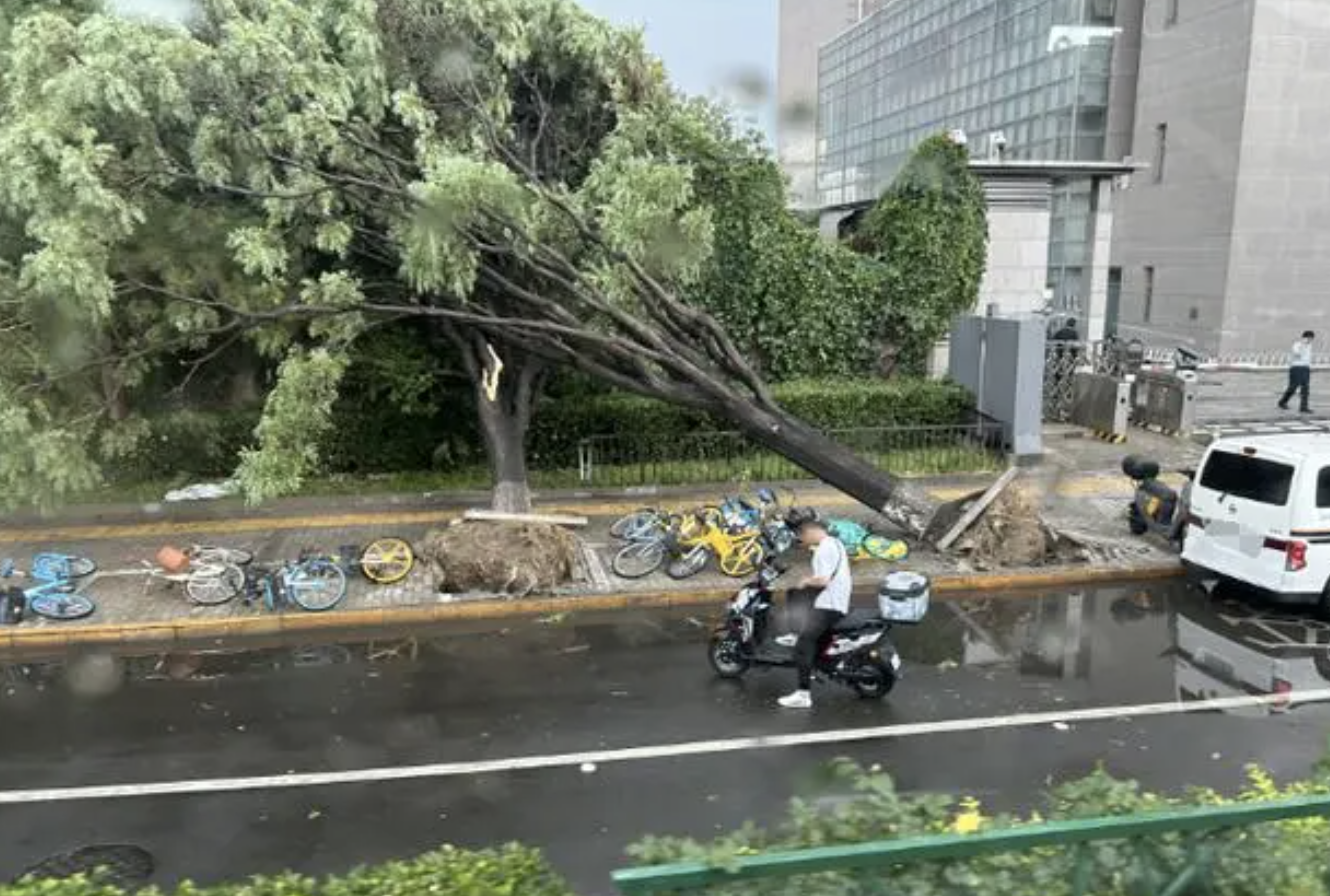 QQ20240530-165638@2x.png