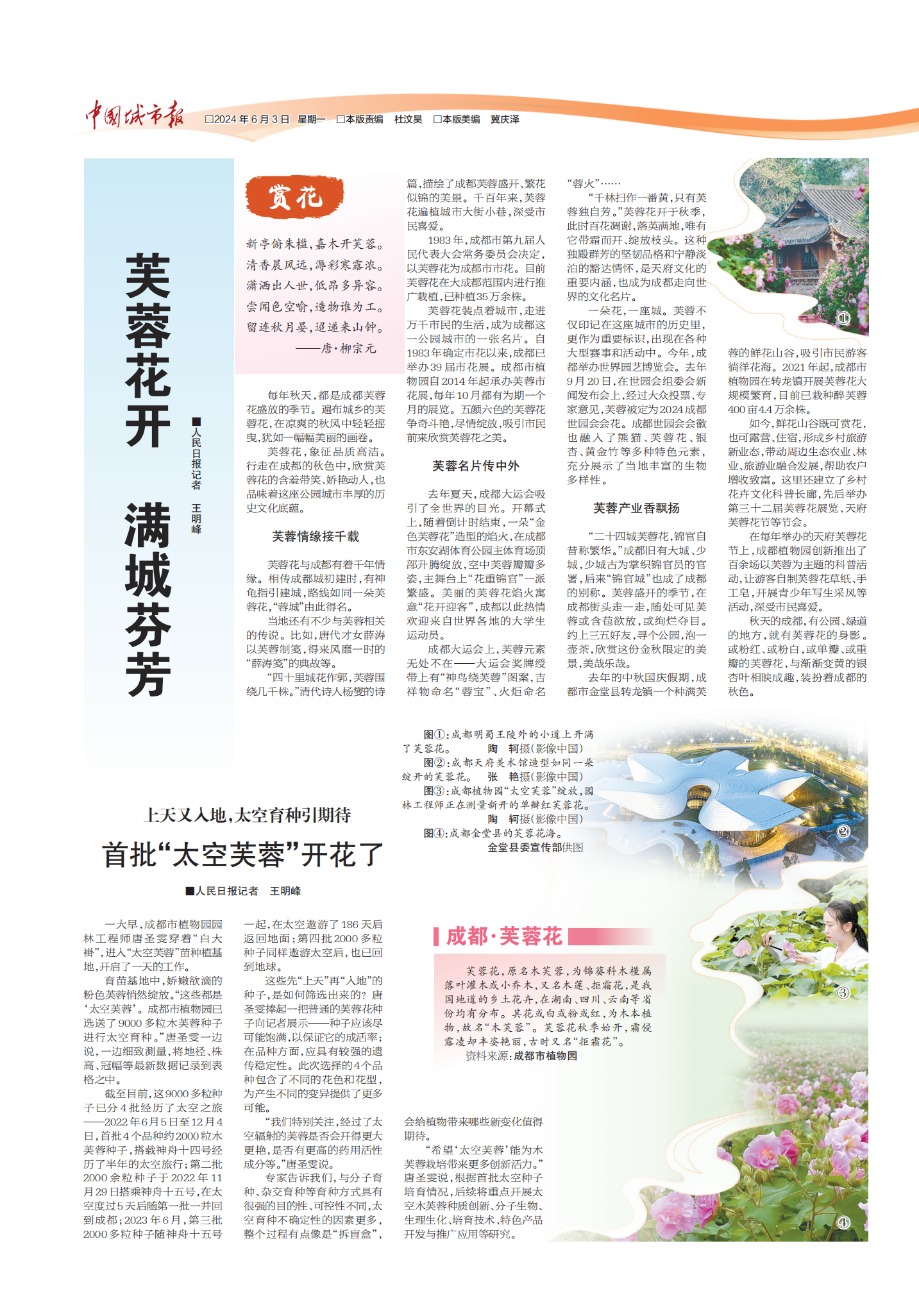 跨版4_Print_00.png