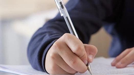 先睹为快！2024年高考语文作文试题及解析来了
