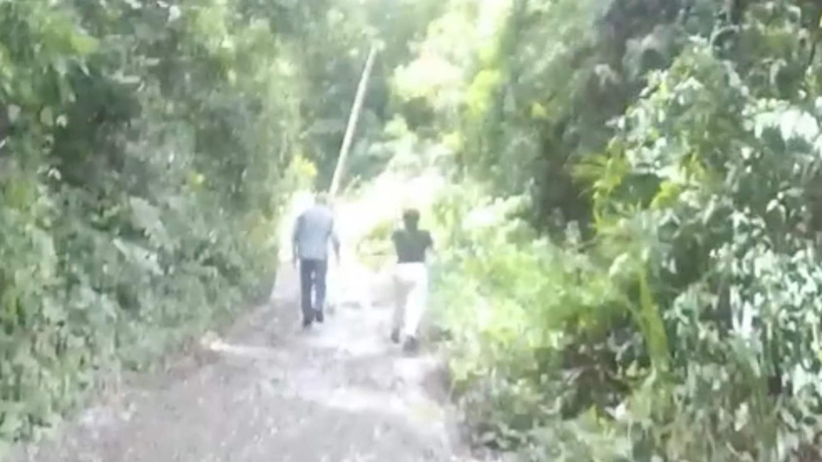 视频｜男童登山不慎走失 民警暖心寻回