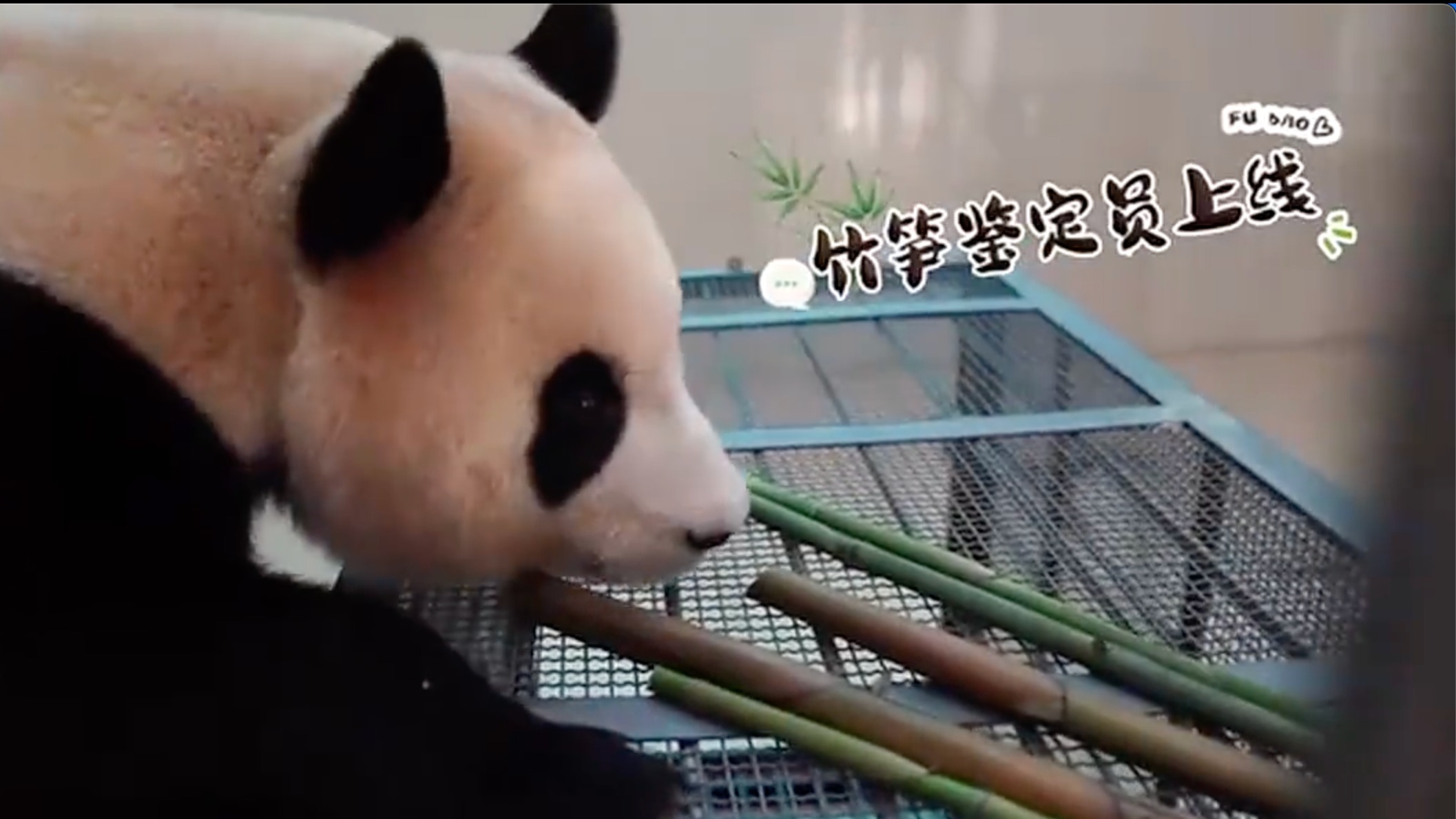 你的“福”来啦！今天中午12点 一起接“福”