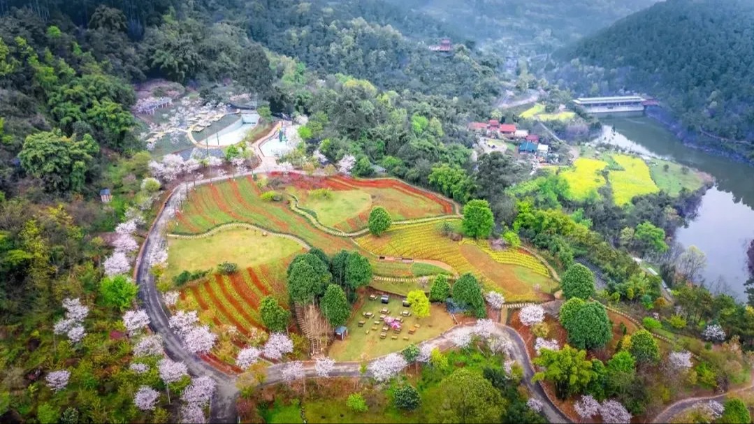 全体考生收好准考证！成都这些景点免费玩