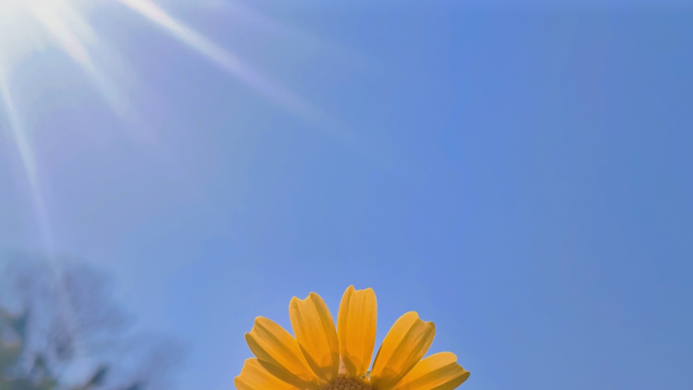 高温预警10连发！今年夏天为何这么热？还会持续下去吗？