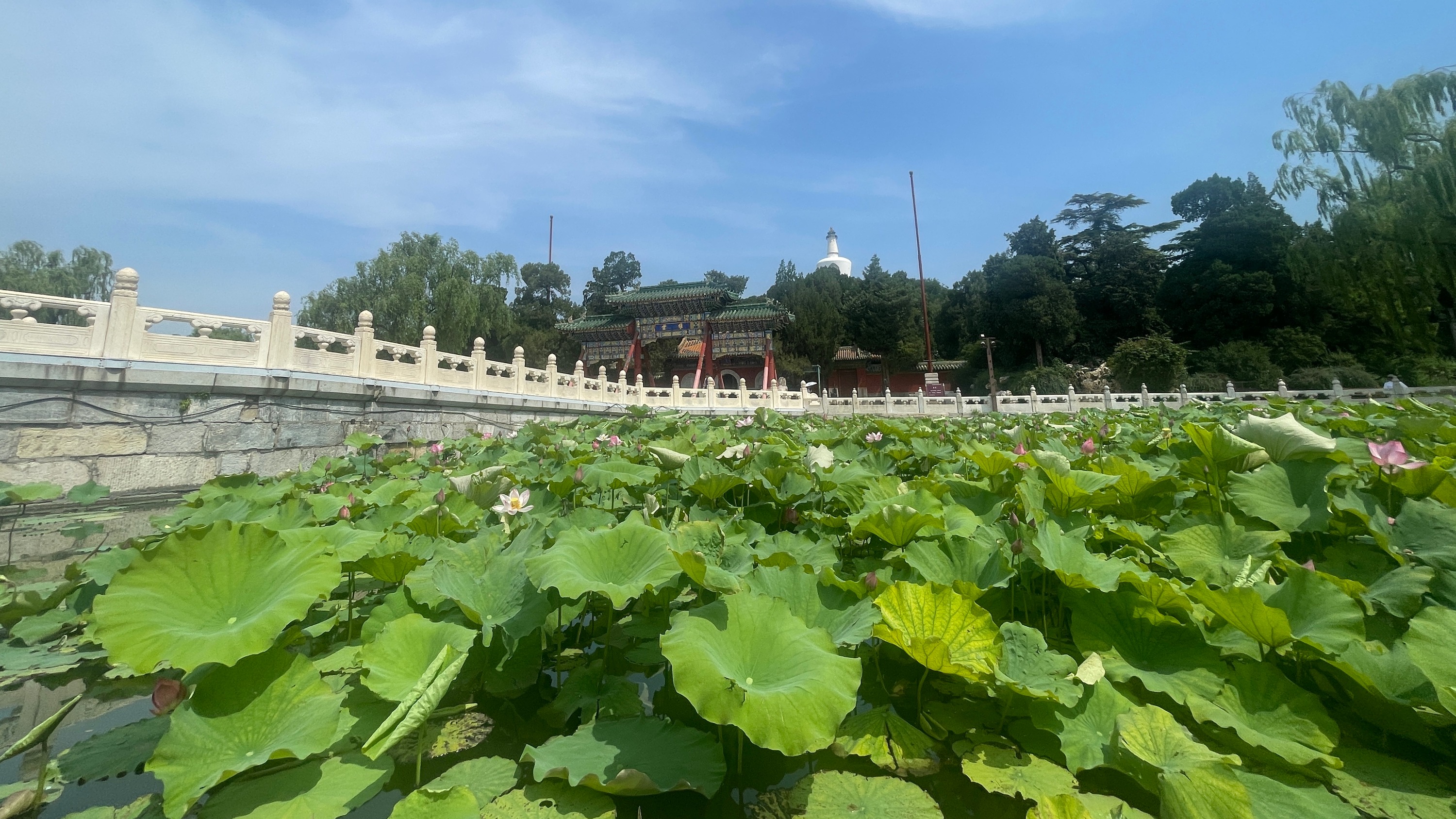 除故宫国博等 北京旅游景区全面取消预约