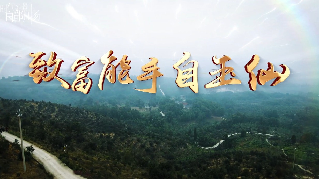 致富能手——自玉仙