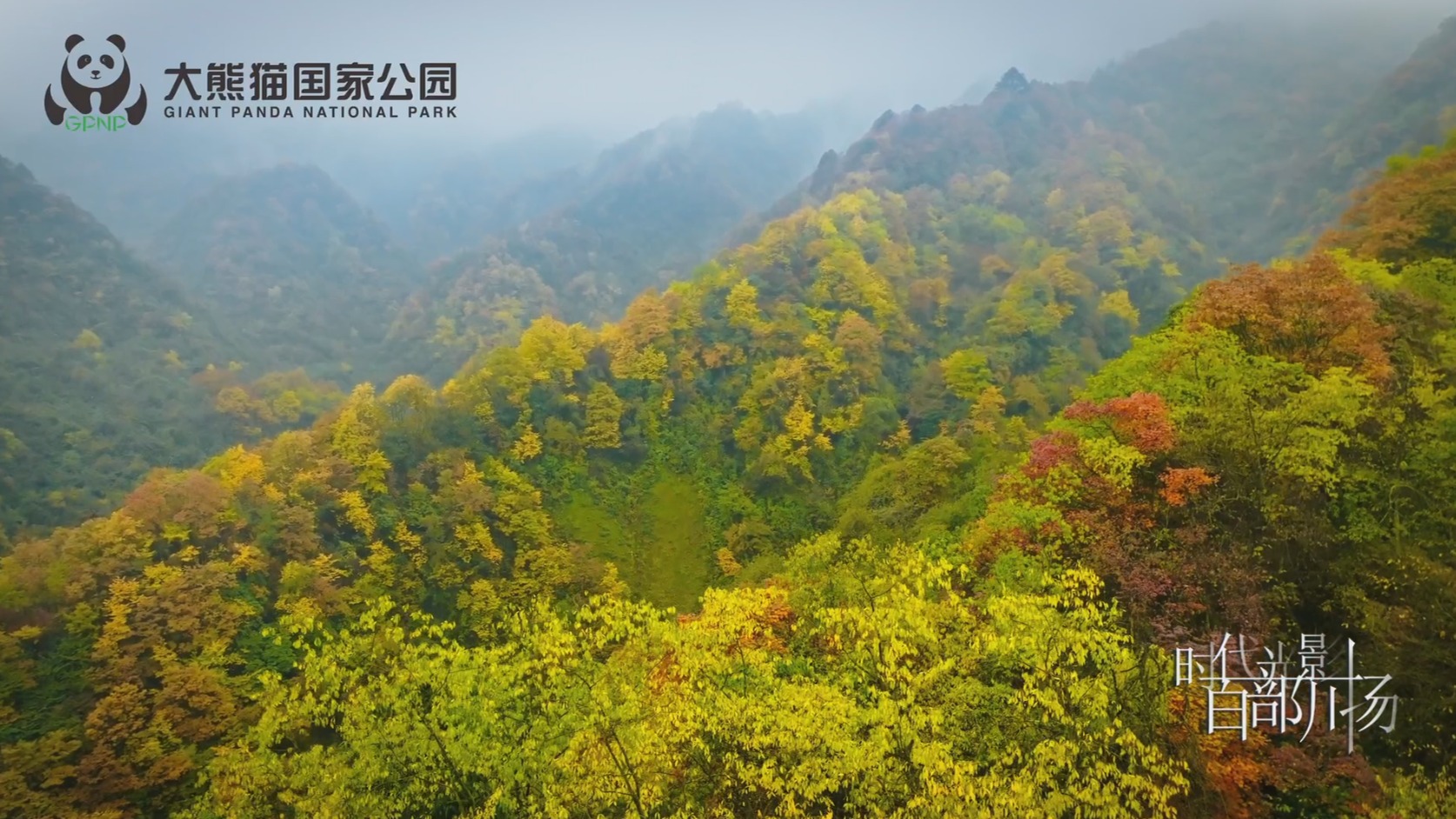 青山的馈赠 飞驰的诗意