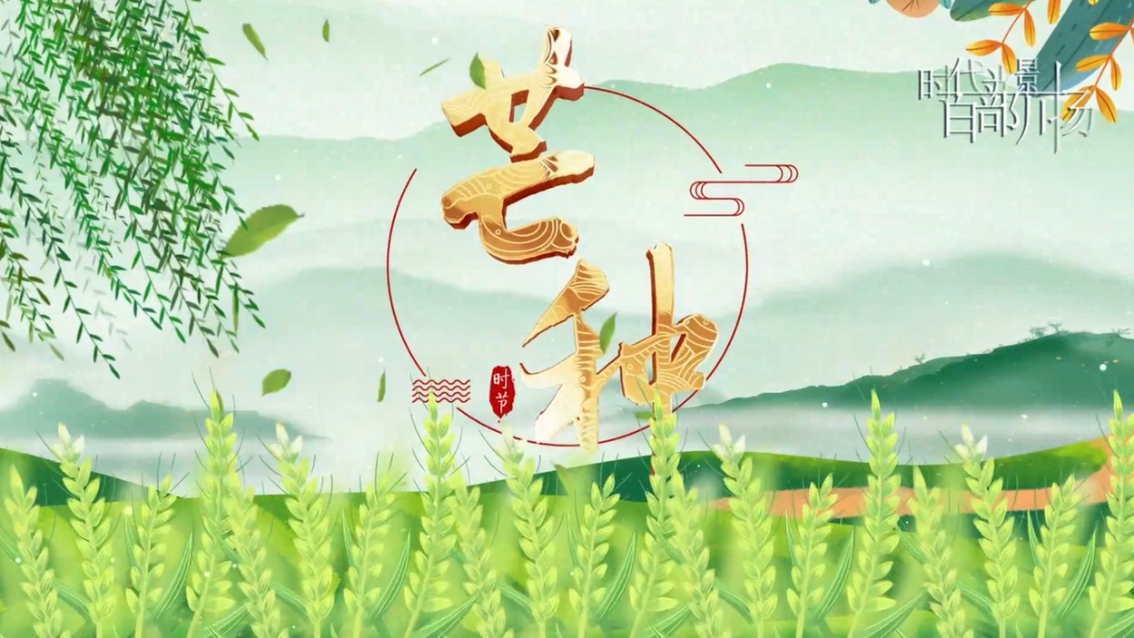 方言小课堂24节气之芒种
