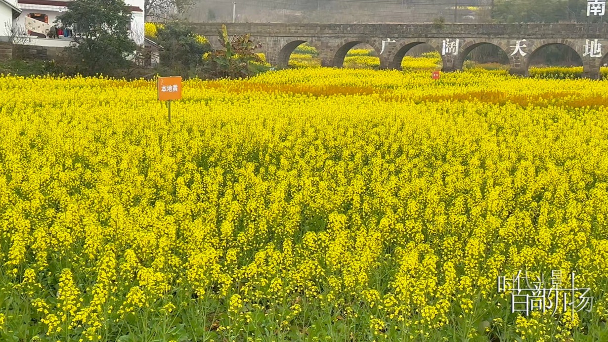 信步沿滩 遇见春天