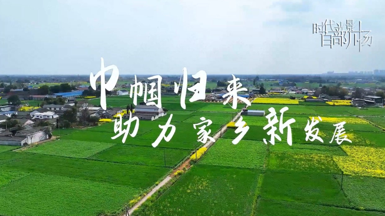 巾帼归来，助力家乡新发展