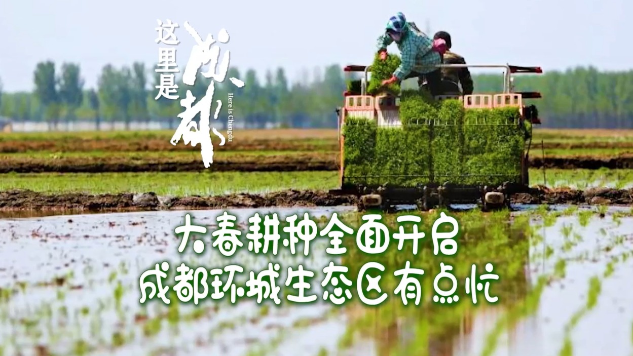 大春耕种全面开启 成都环城生态区有点忙