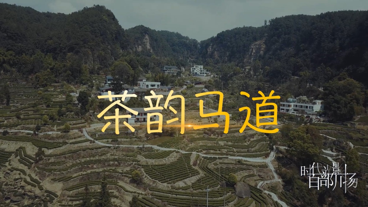 茶韵马道