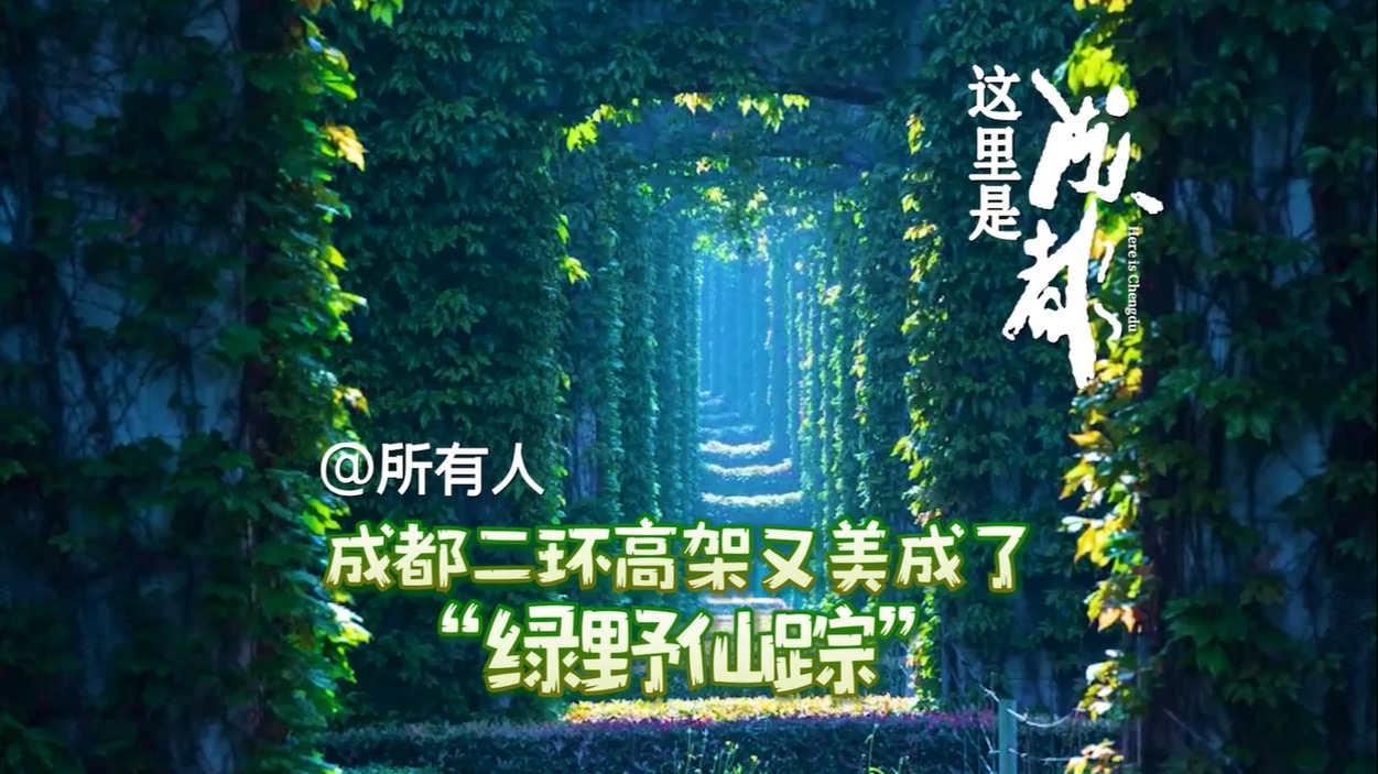 成都二环高架又美成了“绿野仙踪”