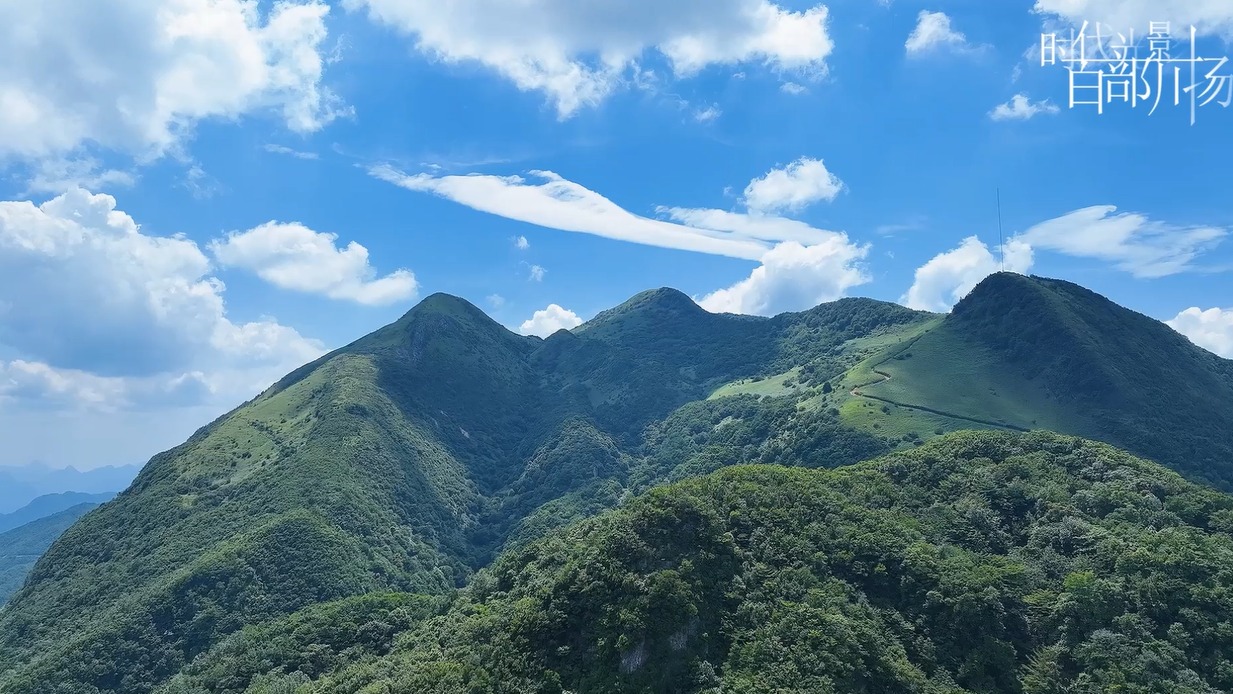 《利州醒春集》系列短视频（一）