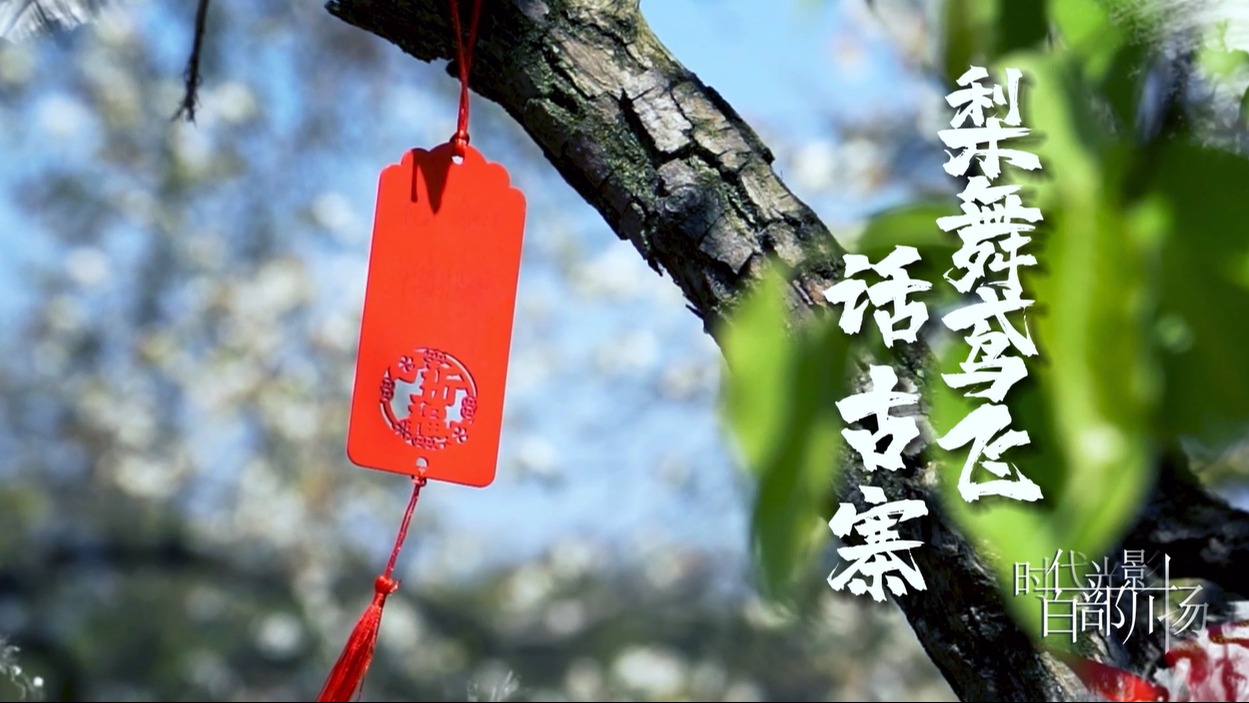 梨舞鸢飞话古寨之三：盛世如愿，安迎天下