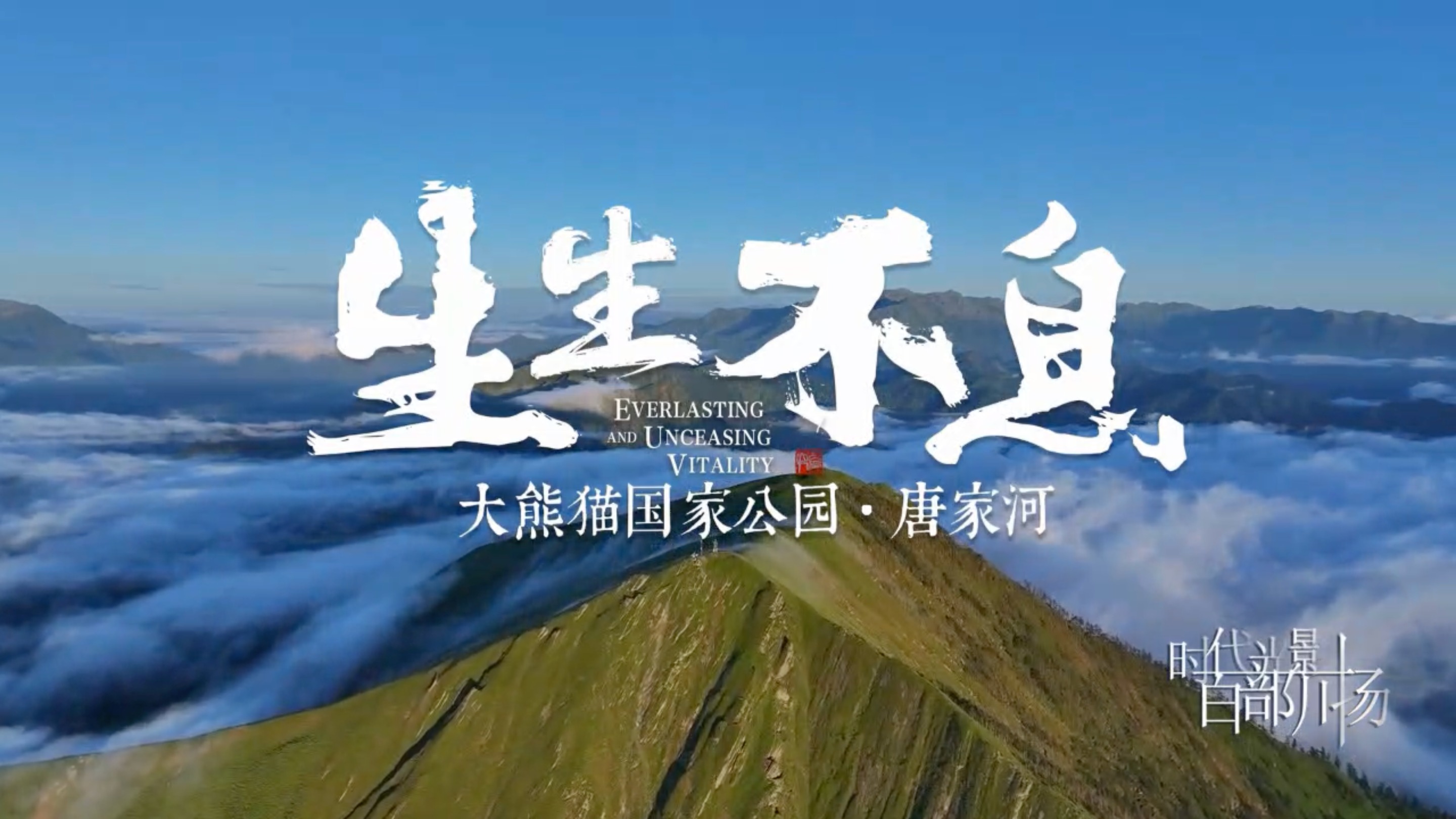 生生不息——大熊猫国家公园·唐家河（上集）