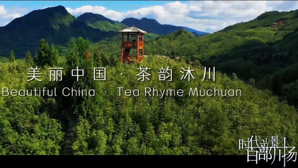 生态沐川行——美丽中国·茶韵沐川