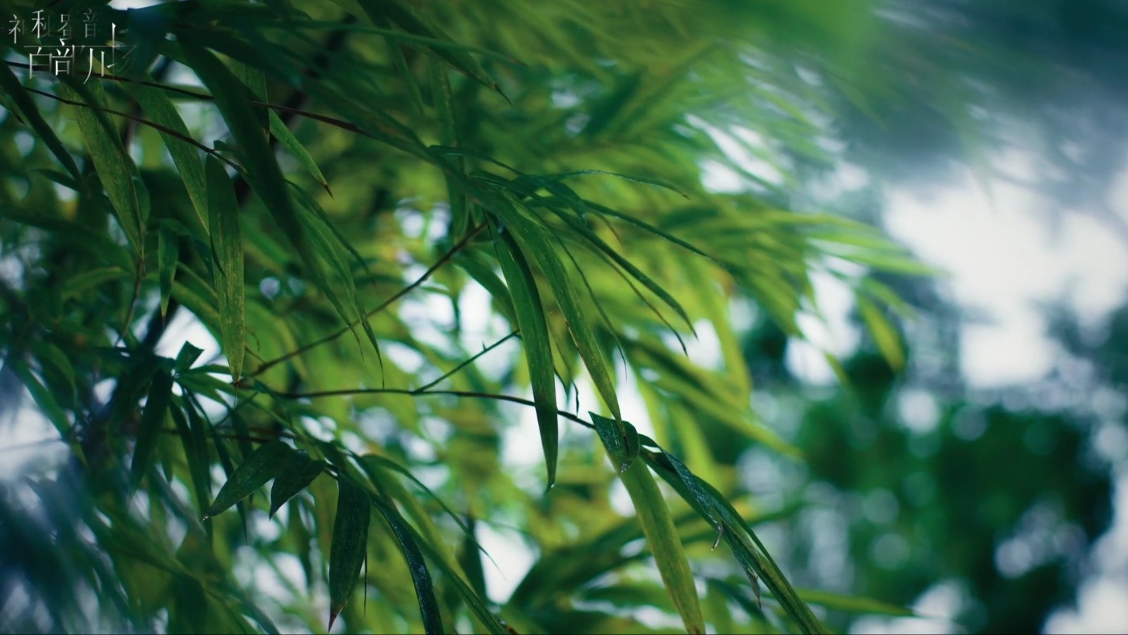 多彩非遗 绵竹年画