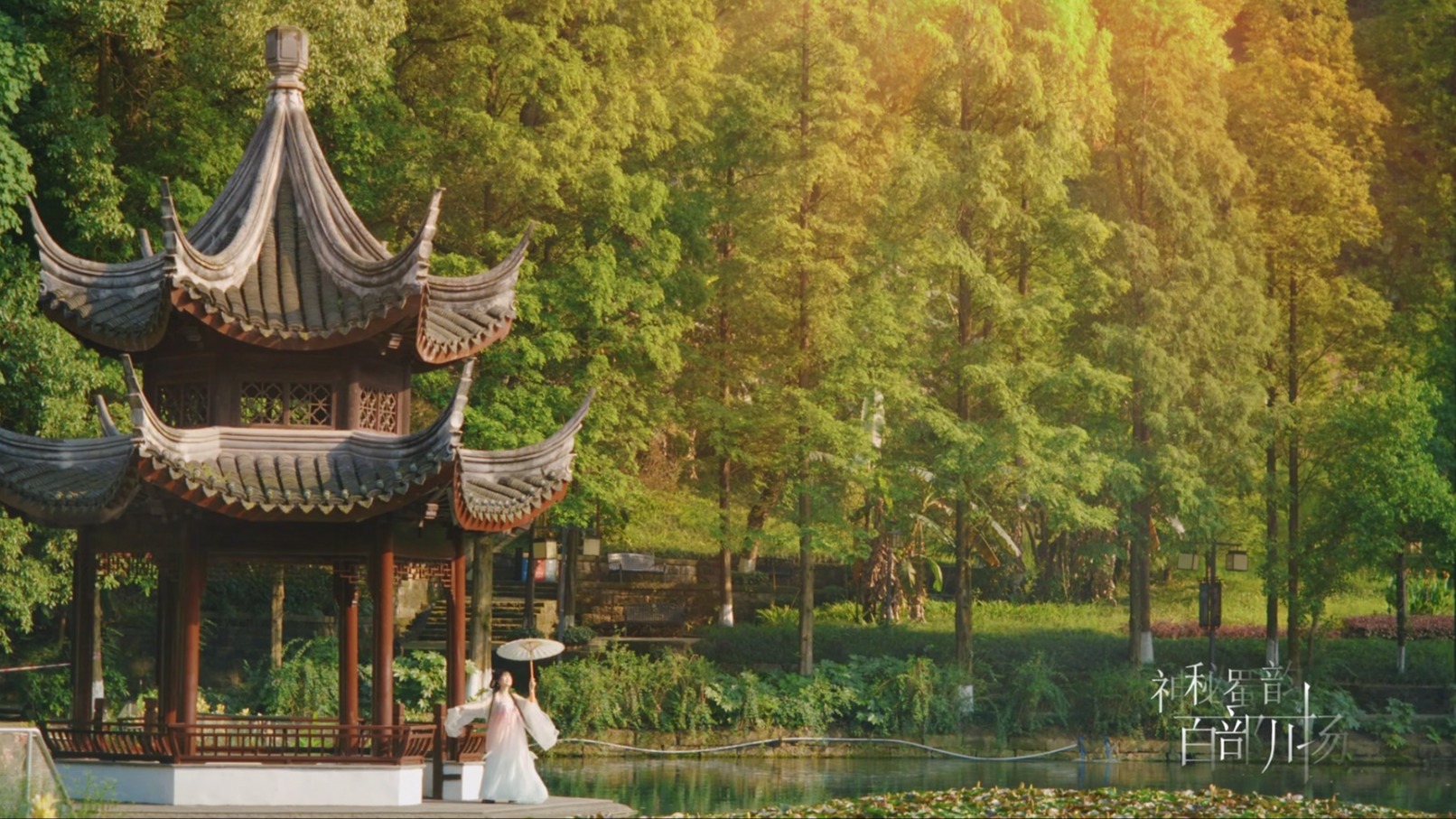 濛溪河遗址的神秘之旅