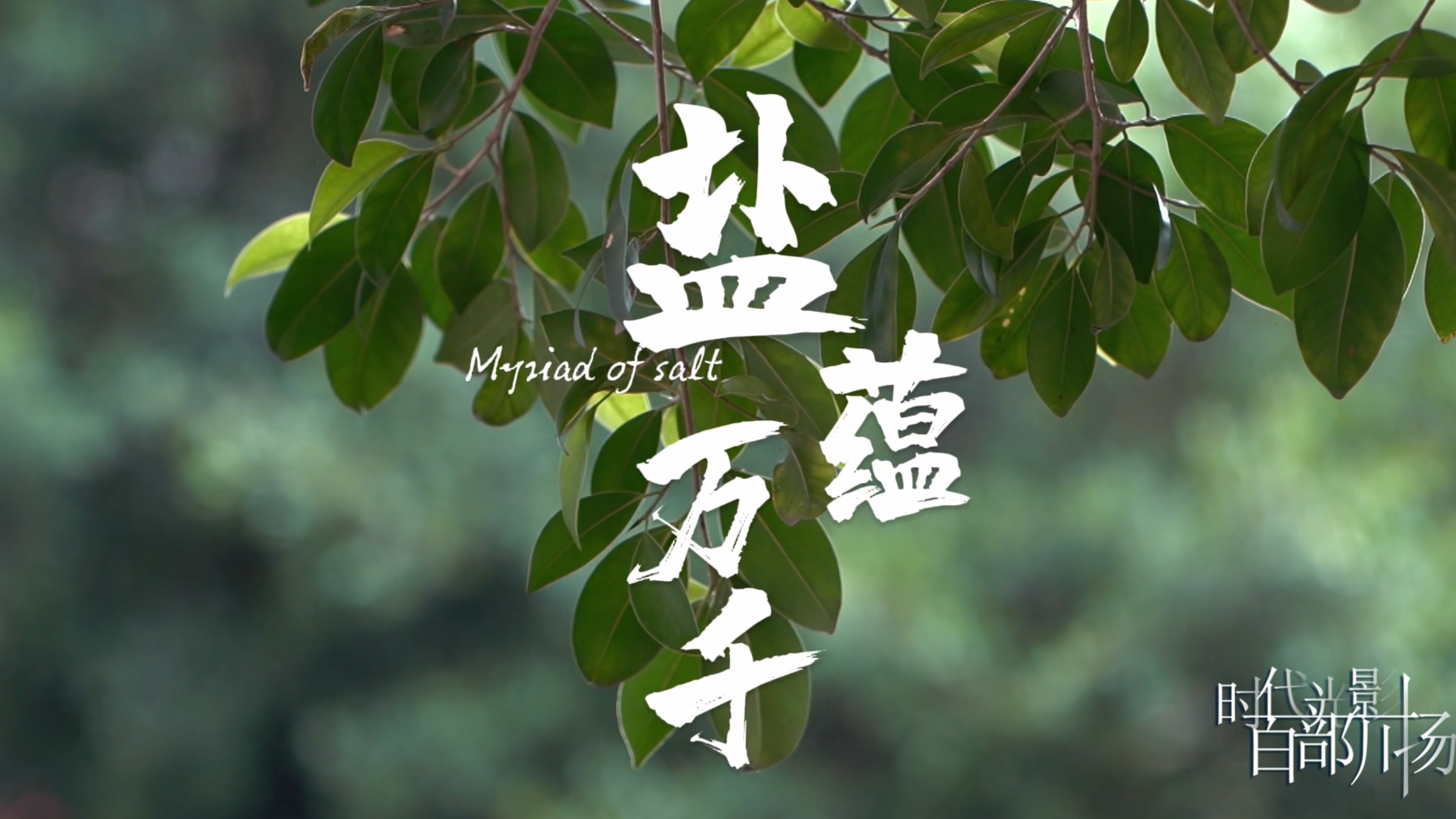 《盐蕴万千》——赓续自贡盐脉 传承非遗文化