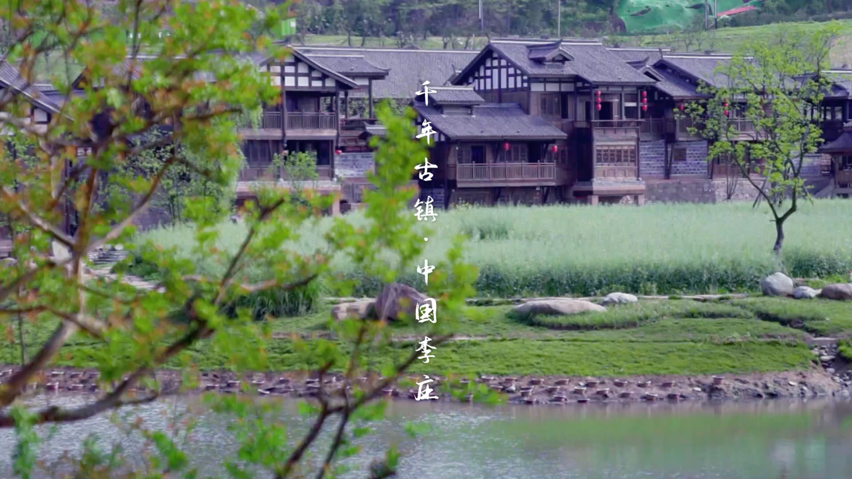 端午 | 艾药并香粽 相见一千年
