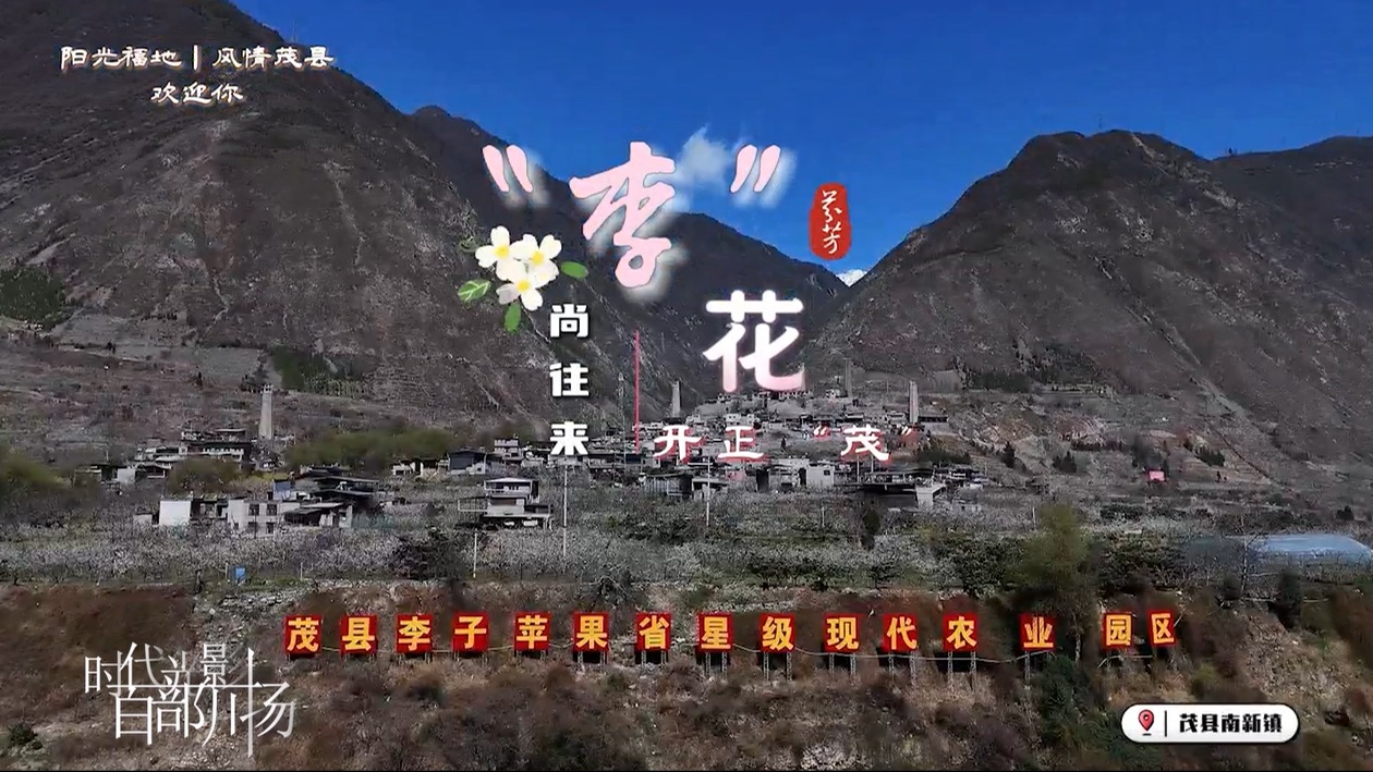 茂县专属版《上春山》—— ”李“尚往来 花开正"茂"