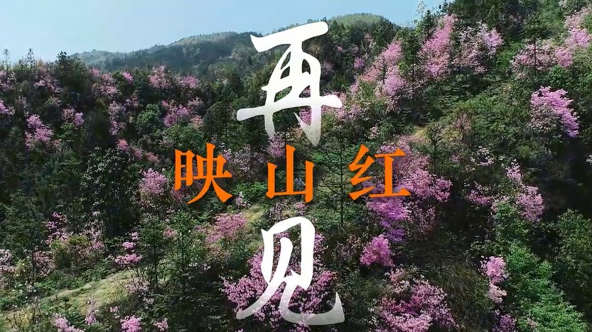 古蔺红军故事 | 微电影 《再见映山红》