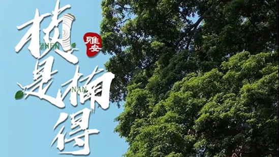 “桢”是“楠”得 02