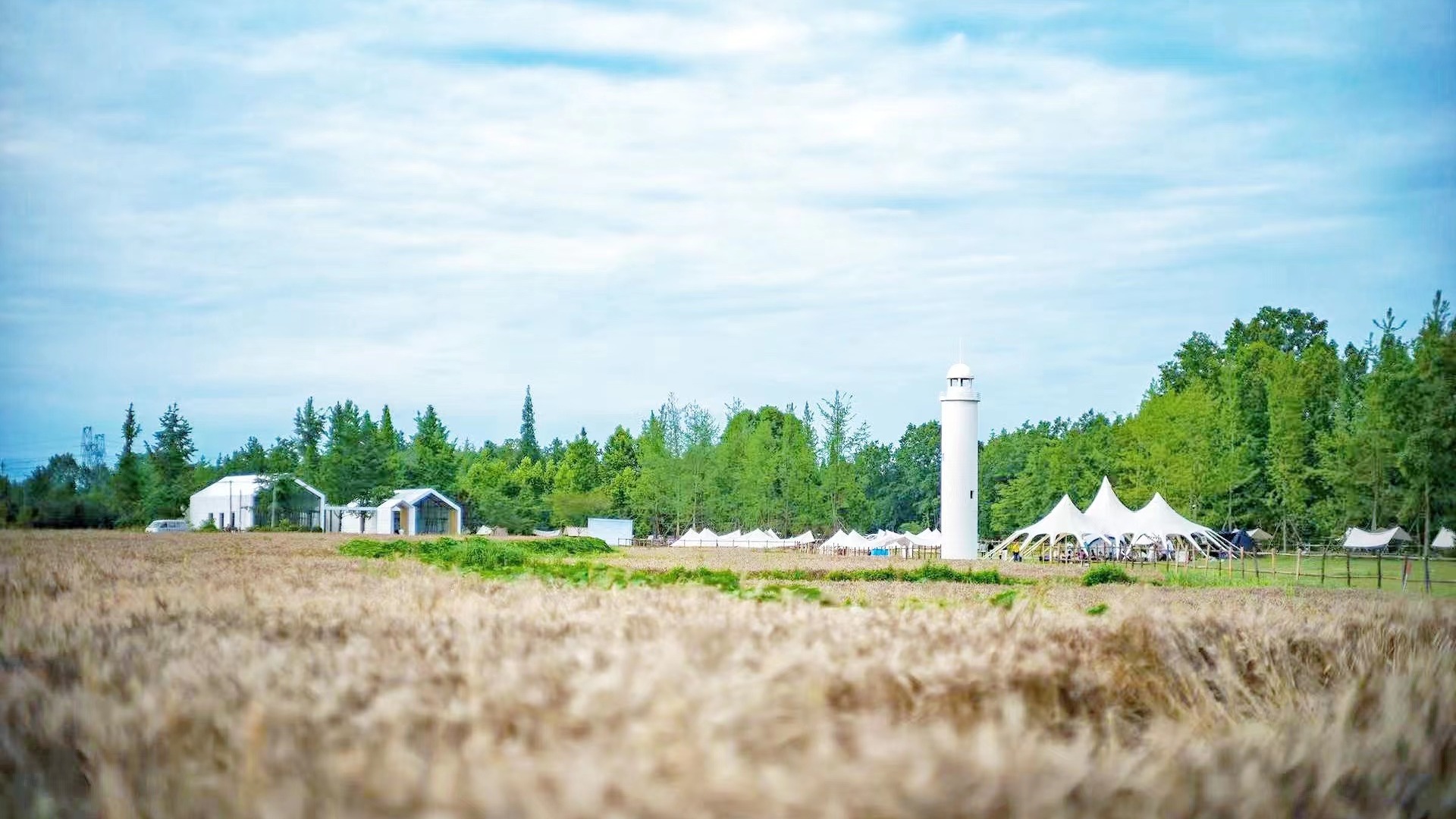 “那你偏要去温江什么意思，温江到底有什么啊！”