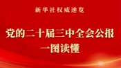 党的二十届三中全会公报一图读懂