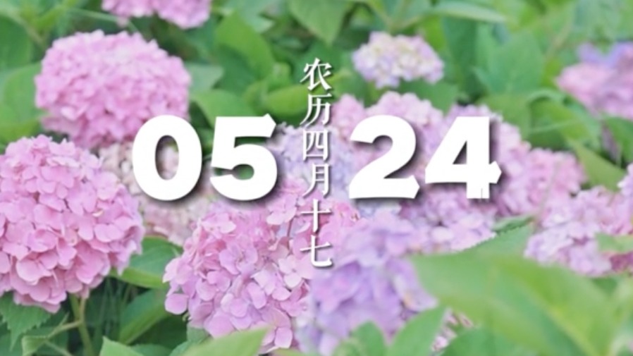 5.24 轻语集