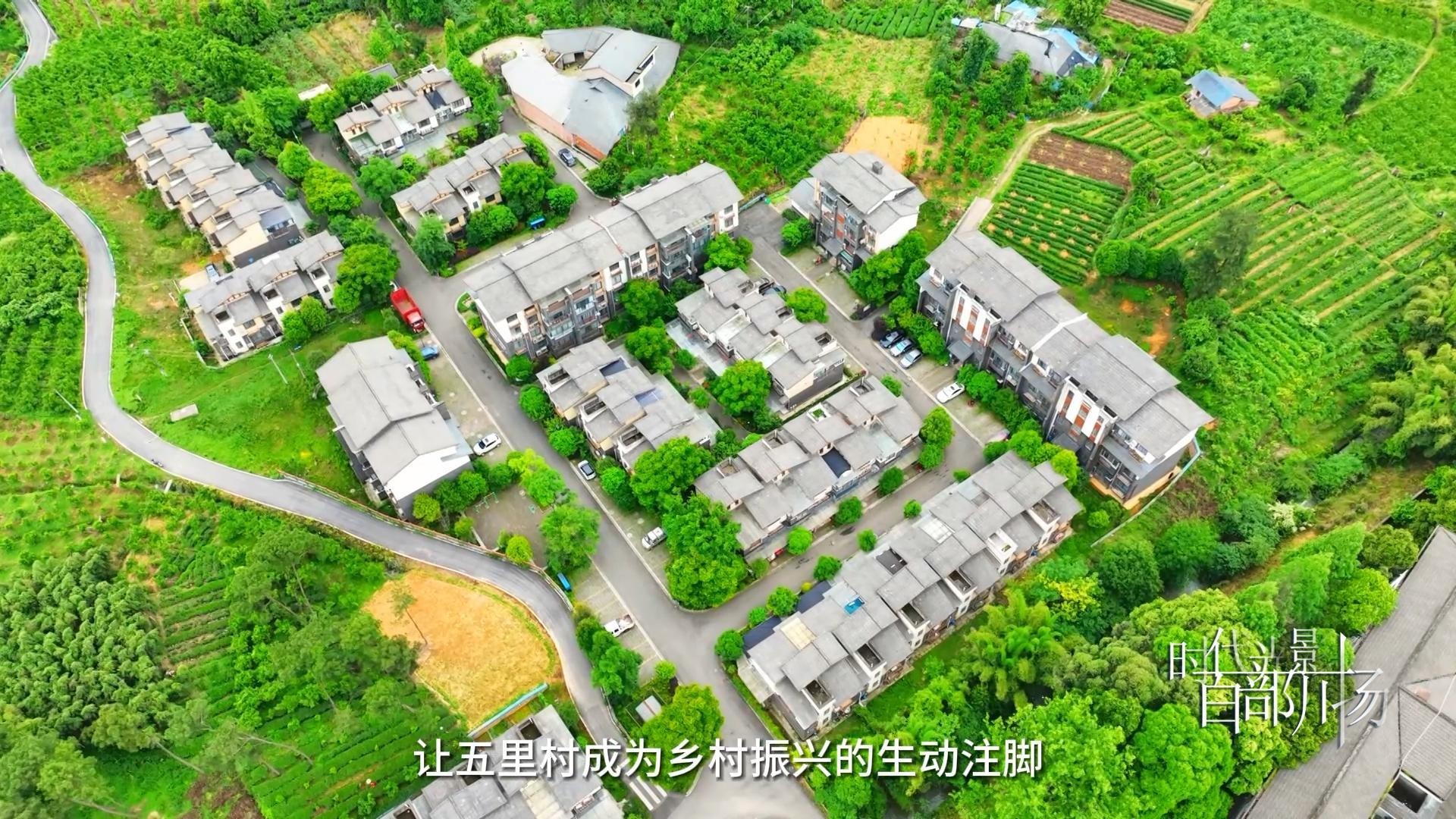蒲江的乡村振兴“化妆师”