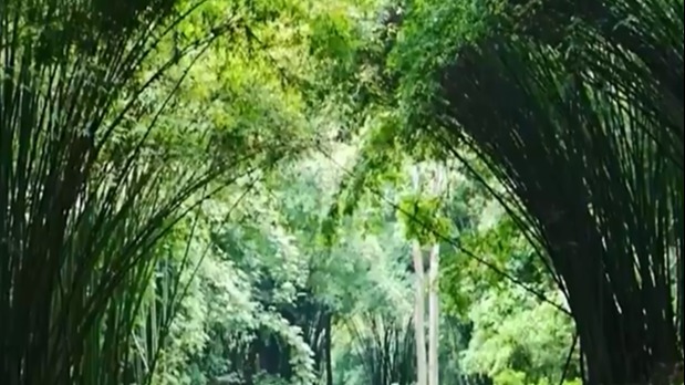 花漾天府古镇