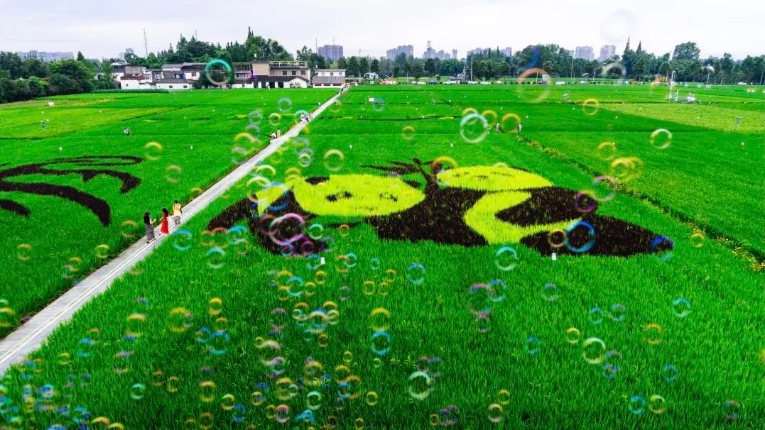 0.5倍速！感受温江且慢且诗意的美好日常~