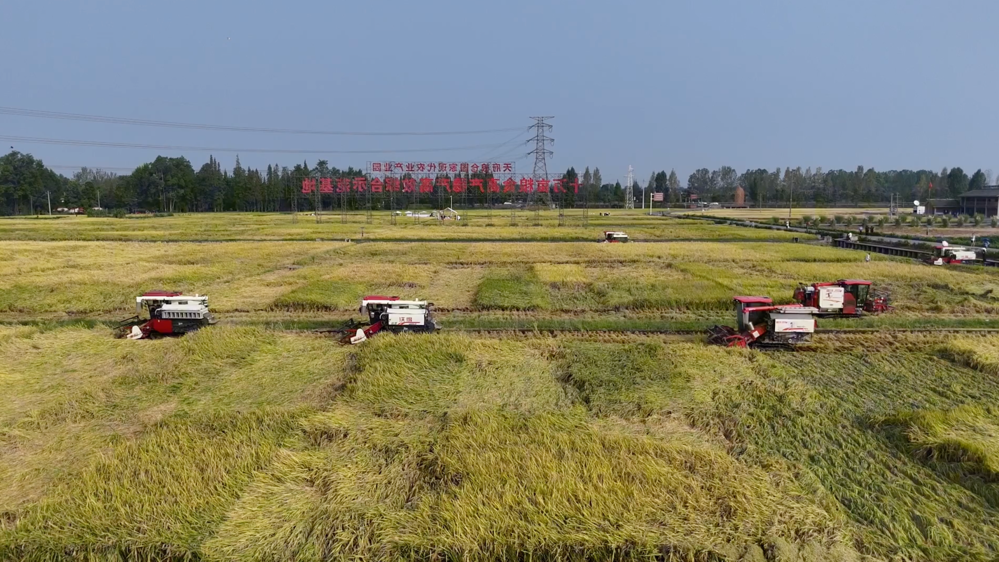 联播观察｜3000多位“CEO”，种25万亩良田