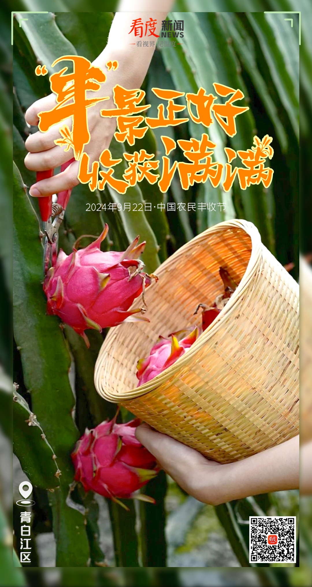 青白江.jpg