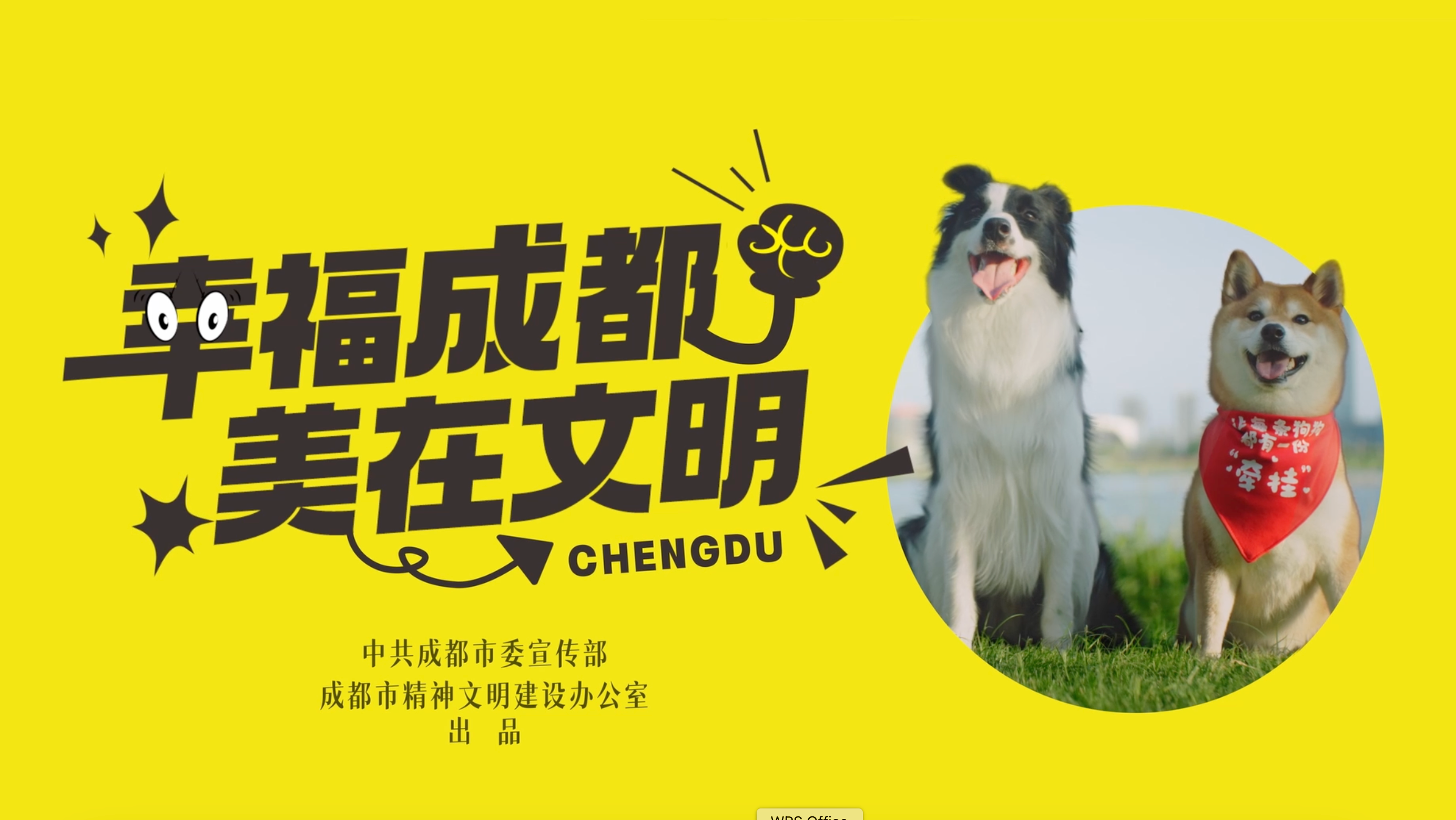 视频｜文明养犬，让狗狗安心出门