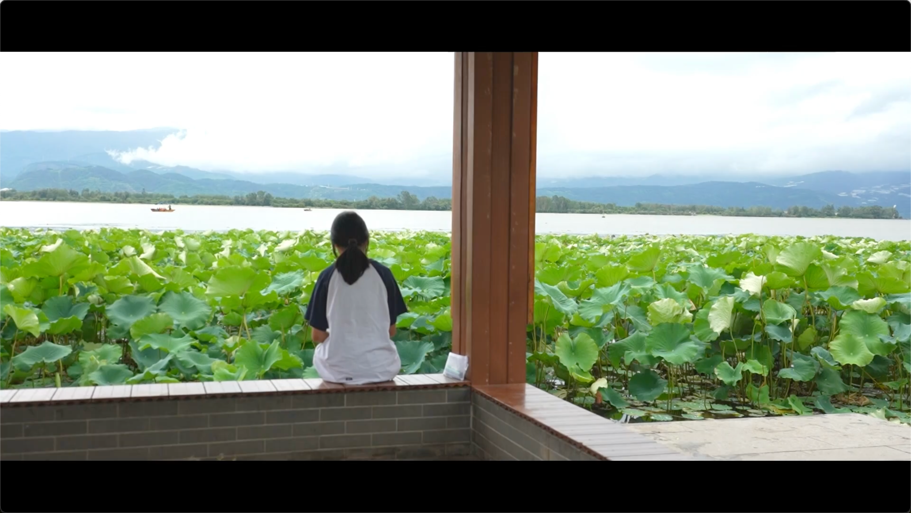 生态画卷 百部川扬｜童心守护，“绿”动生活