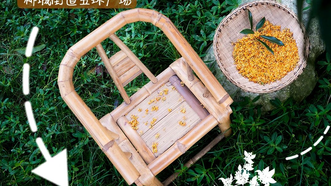 桂花来了的日子，温江秋日好“甜”！